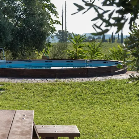 Girasole * سيريتو غيدي