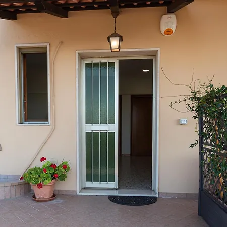 Girasole سيريتو غيدي