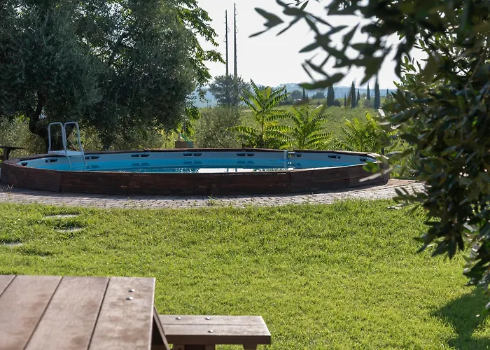 Girasole * Cerreto Guidi