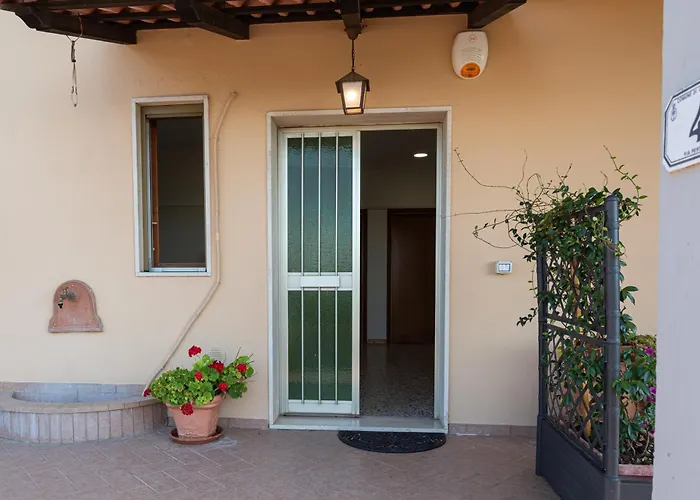 Girasole Cerreto Guidi